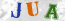 Güvenlik Resmi