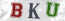 Güvenlik Resmi