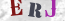 Güvenlik Resmi
