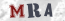 Güvenlik Resmi