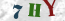 Güvenlik Resmi